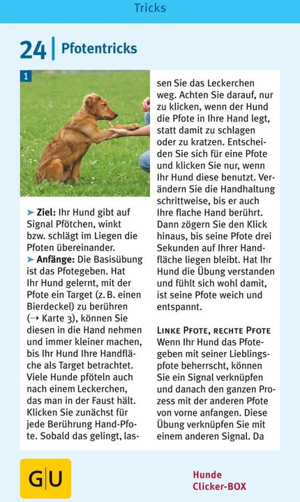 Actual product image Hunde Clicker-Box 36 Trainingskarten (German, Sabine Winkler, 2016)