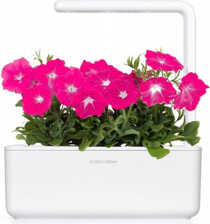 Immagine prodotto Click and Grow Semi di petunia rosa 3-Pack (Semi di piante)