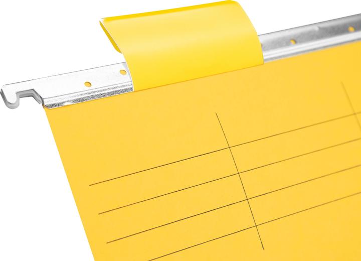 Actual product image Biella Suspension file (A4, 25 x)