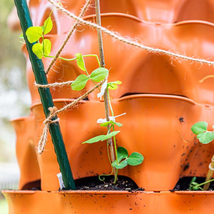Actual product image Wiltec Toboli 10x plant sticks green 120cm Ø11mm trellis metal plastic tomato stake (120 cm, 1.10 cm)