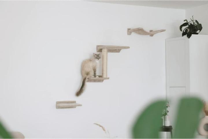 Produktbild Kerbl Kletterwand Zugspitze (44 cm, Beige)