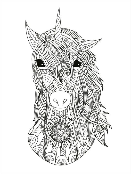 Image du produit Mon livre de coloriage d'animaux Mandala - Animaux magiques