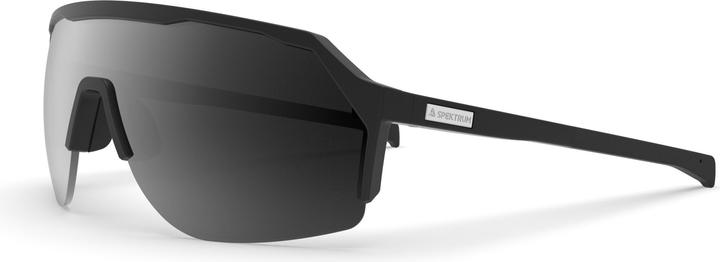 Froa Sunglasses (Grey)