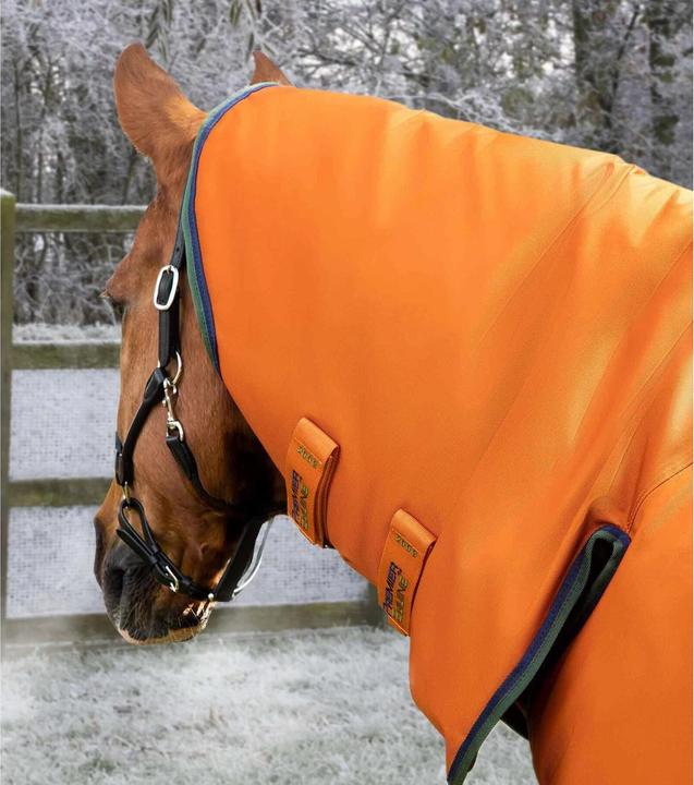 Actual product image Premier Equine Buster Combo 400g (213 cm)