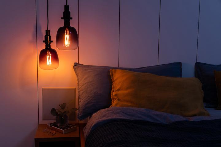 Image du produit Osram Vintage 1906 Led Big Special Shapes (E27, 4.50 W, 150 lm, 1 x, G)