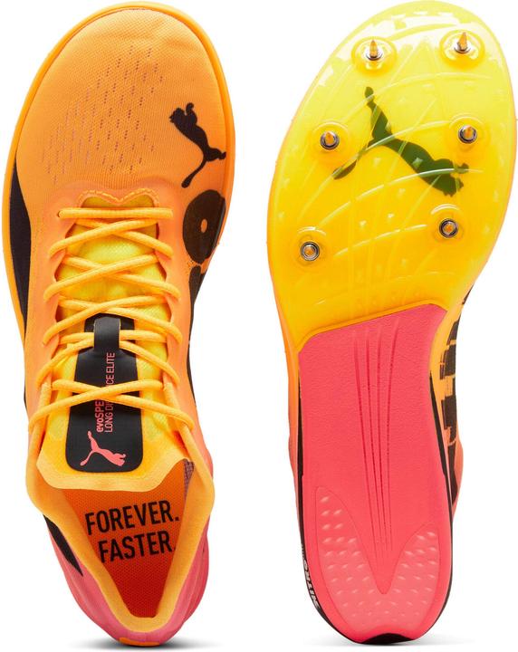 Produktbild Puma evoSPEED Long Distance Nitro Elite 2 (41)