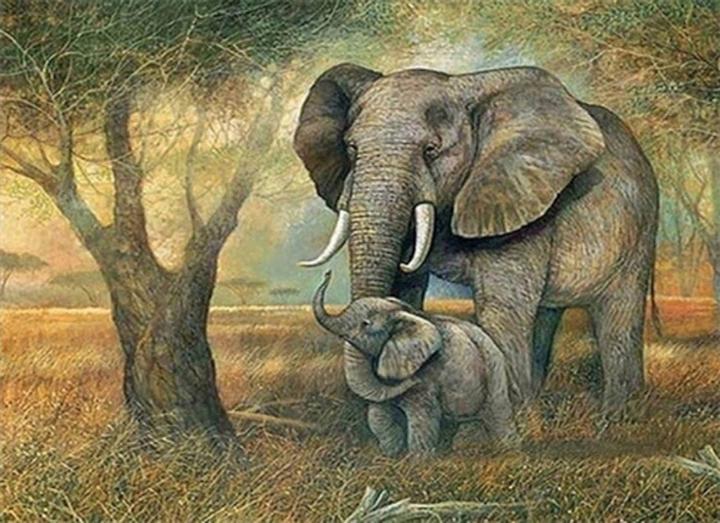 Actual product image Magni Diamond Painting Elephants 40x30cm