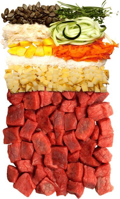 Image du produit Terra Canis Canireo au boeuf (Adulte, 5000 g)