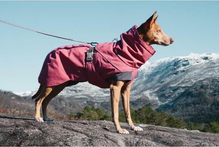 Immagine prodotto Hurtta Spedizione (20, Cappotto per cani)