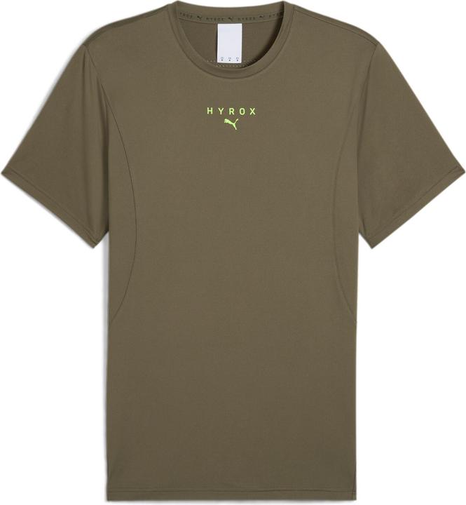 Verde loden