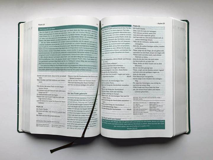 Image du produit Die Bibel mit Impulsen von Joyce Meyer (Allemand, Joyce Meyer, 2024)