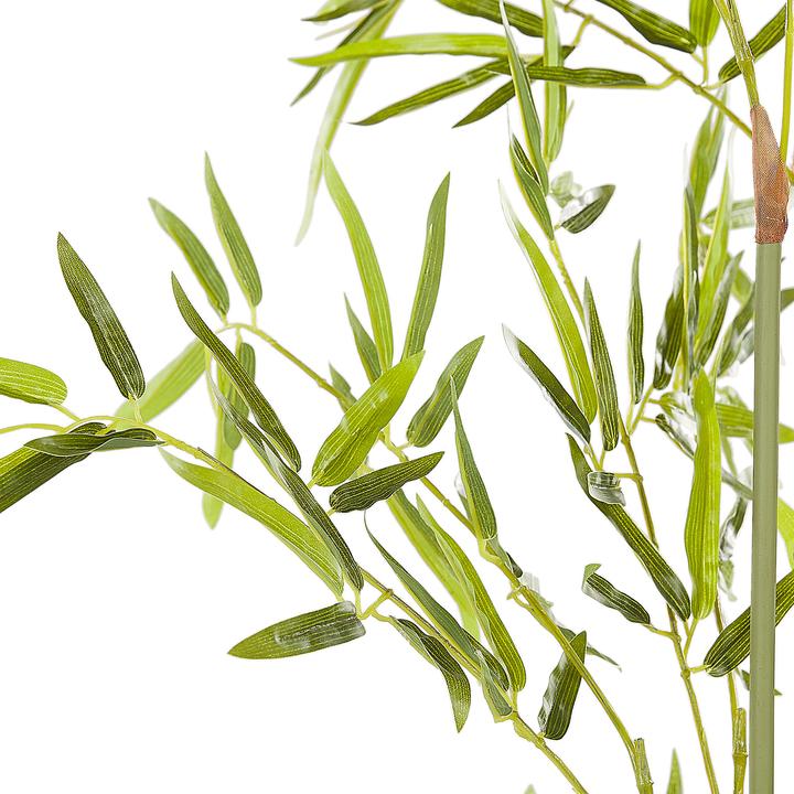 Immagine prodotto Beliani Bambusa Vulgaris (100 cm)