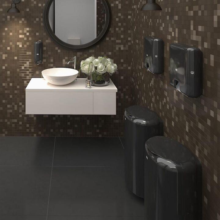 Actual product image Tork Xpress