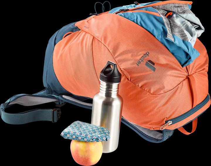 Actual product image Deuter AC Lite 21 (21 l)