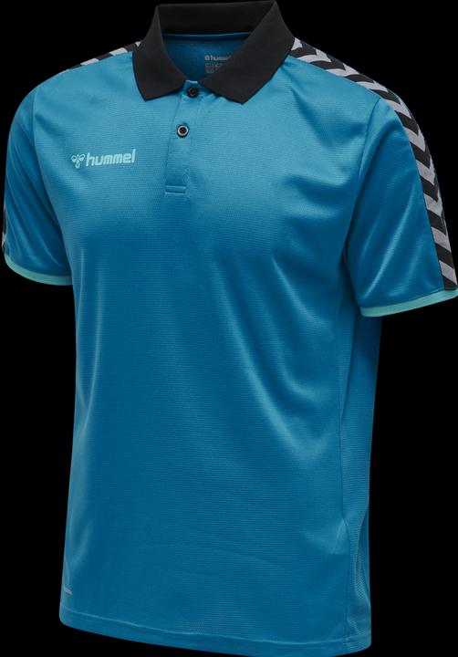 Image du produit hummel Authentic Functional Polo (S)