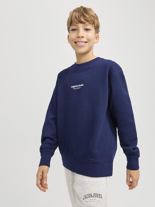 Immagine prodotto Jack & Jones Jorvesterbro Sweat Crew Neck Noos Jnr (140)