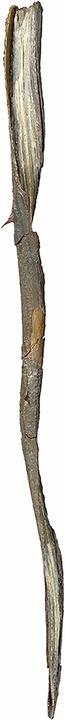 Immagine prodotto Noble Collection Harry Potter Zauberstab Grindelwald (Charakter-Edition)