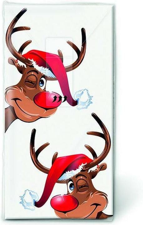 Paper + Design Mouchoirs de Rudolph