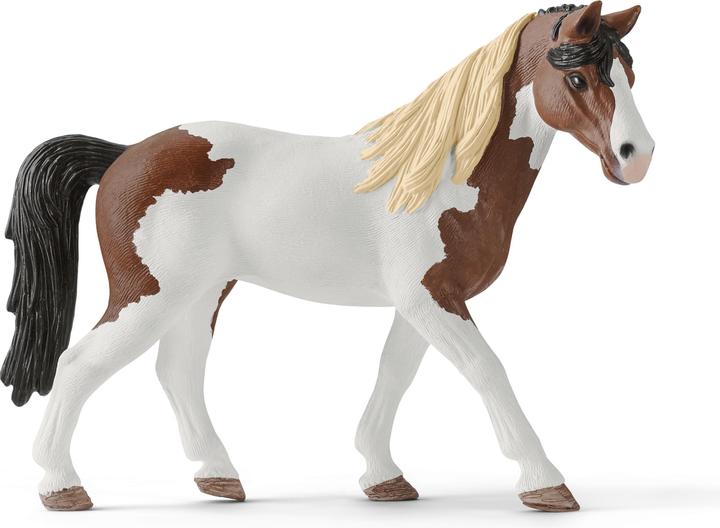 Image du produit Schleich Set d'équitation western Horse Club Hannahs