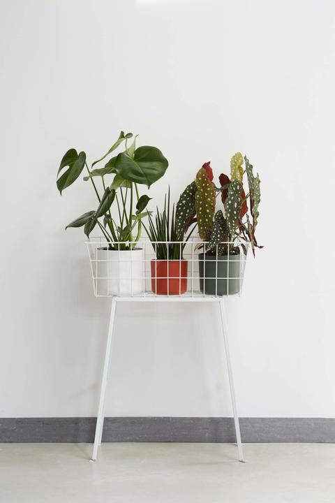 Immagine prodotto Elho b.for soft (13.80 cm)