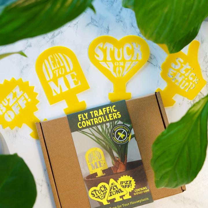 Actual product image Bubblegum Plant insect trap Sticky traps 10 pieces