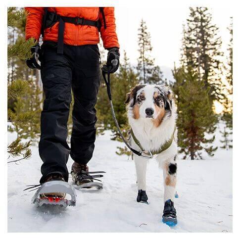 Image du produit Ruffwear Polar Trex - 1 paire - Chaussures pour chiens (M, Chaussures pour chien)