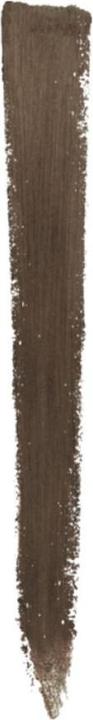 Actual product image Maybelline New York Brow Satin Duo 04 Dark Brown (4 Dark Brown)