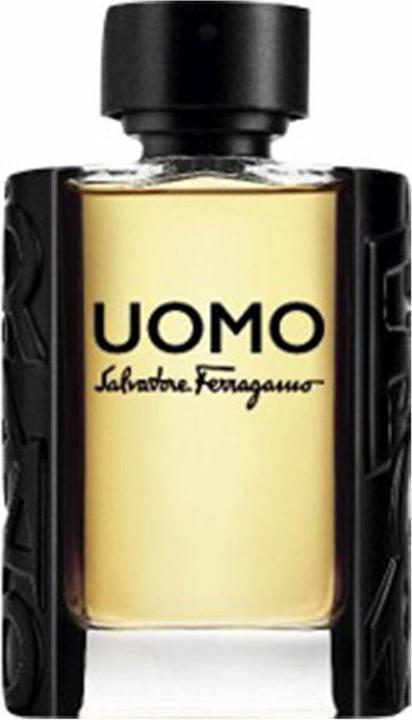 Salvatore Ferragamo S. Ferragamo Uomo Pour Homme Edt Spray (Eau de Toilette, 100 ml)
