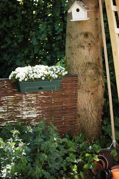 Produktbild Elho Green Basics Balkonkasten Allin1 (49 cm)