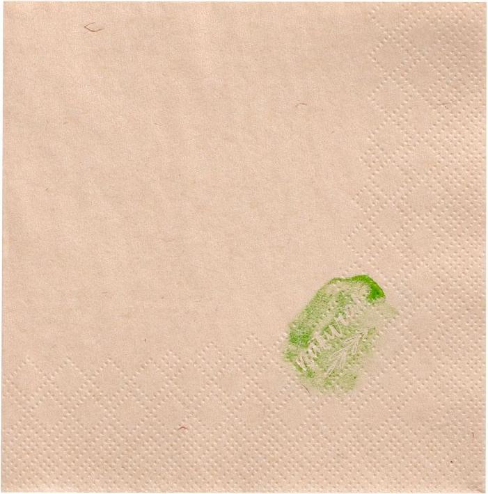 Papstar unbleached (250 x, 24 x 24 cm)