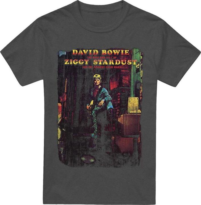 Produktbild David Bowie Ziggy Stardust Album TShirt (XL)