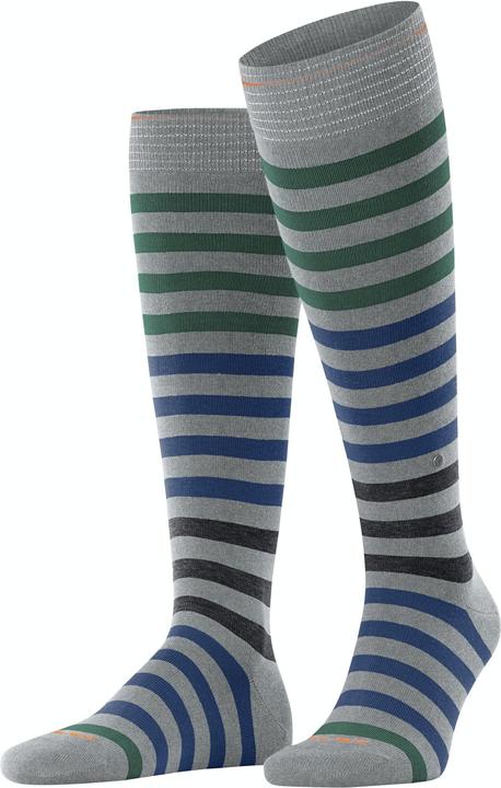 Burlington Blackpool (Einzelpack, 40 - 46)