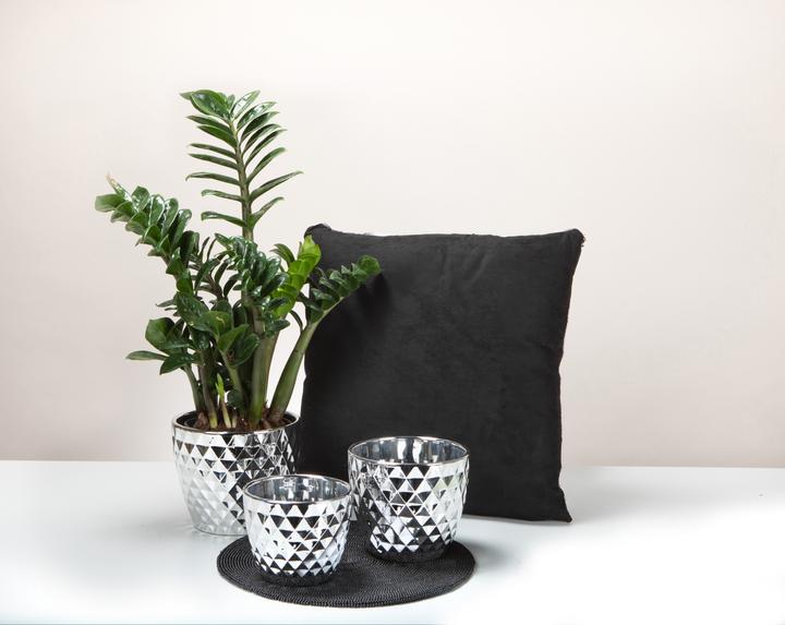 Image du produit Scheurich Crystal (17.80 cm)