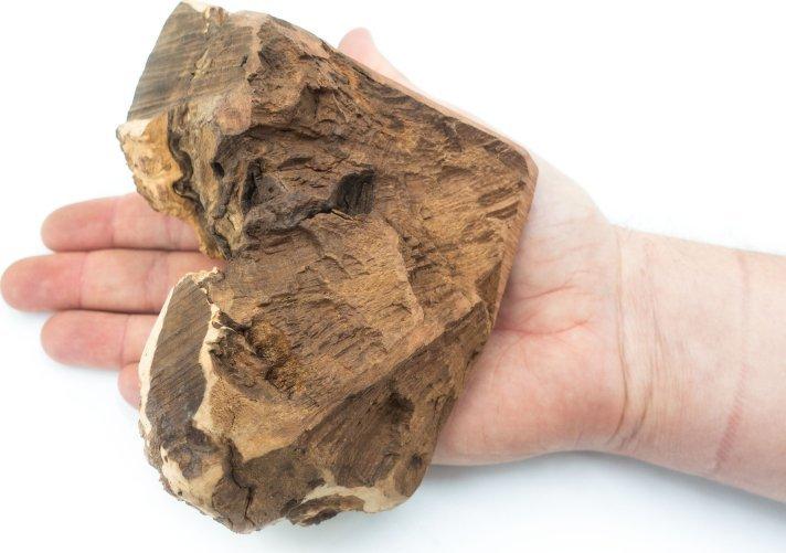 Produktbild 4Dogs Original 4DOGS Korzeń wrzośca dla psa - gryzak L (Kauspielzeug Hund)