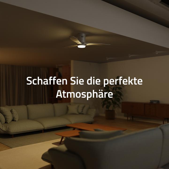 Immagine prodotto Hombli Deckenventilator mit Licht (43 dB)