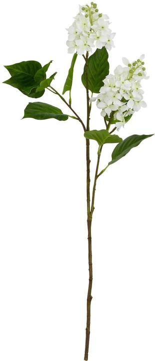 Immagine prodotto Hill Interiors The Natural Garden Collection Lilla Bianco Fiore Artificiale (30 cm)