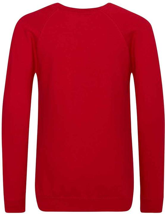 Actual product image Awdis Academy school sweatshirt round neck (104)