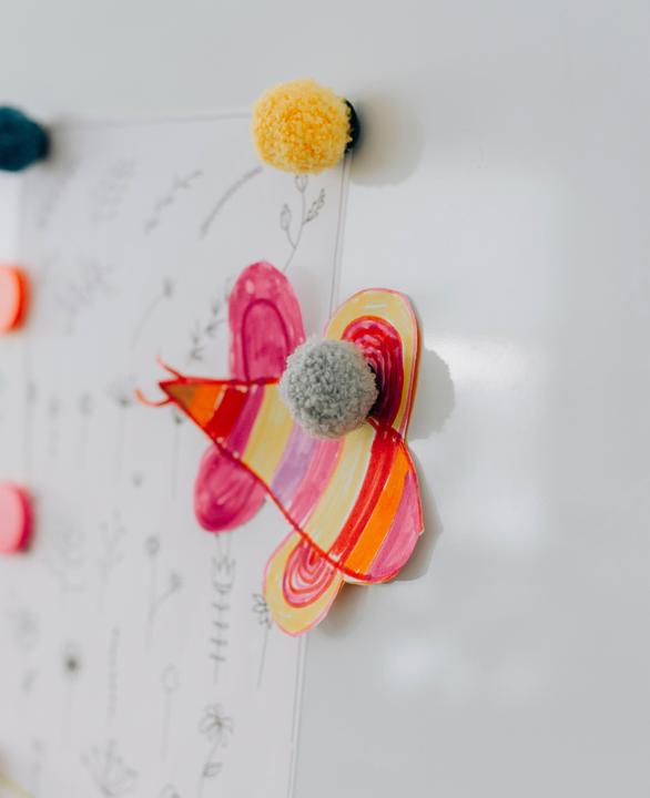 Actual product image Wendekreis Magnet Fruits (6 x)