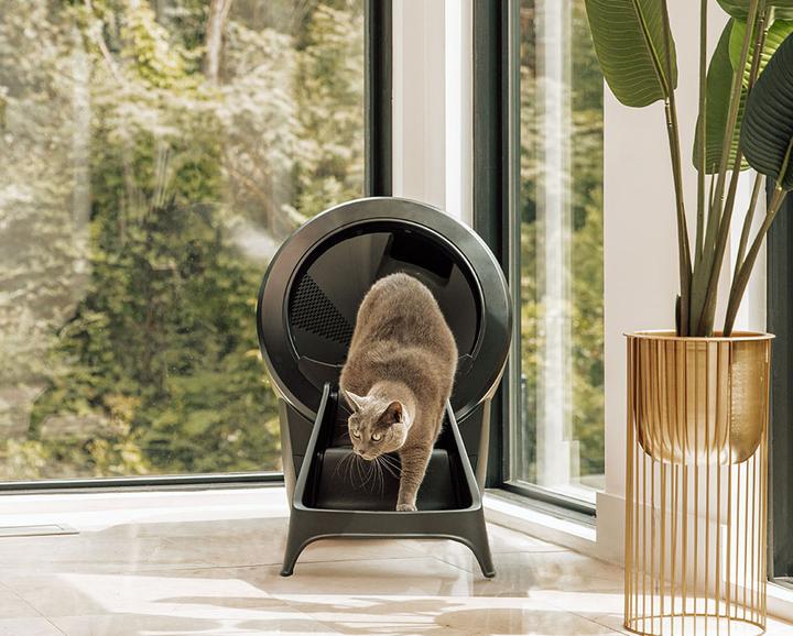 Actual product image Litter-Robot 4 Ramp