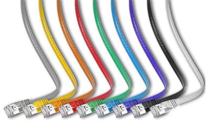 Image du produit Wirewin Câble de réseau (STP, CAT6, 0.50 m)