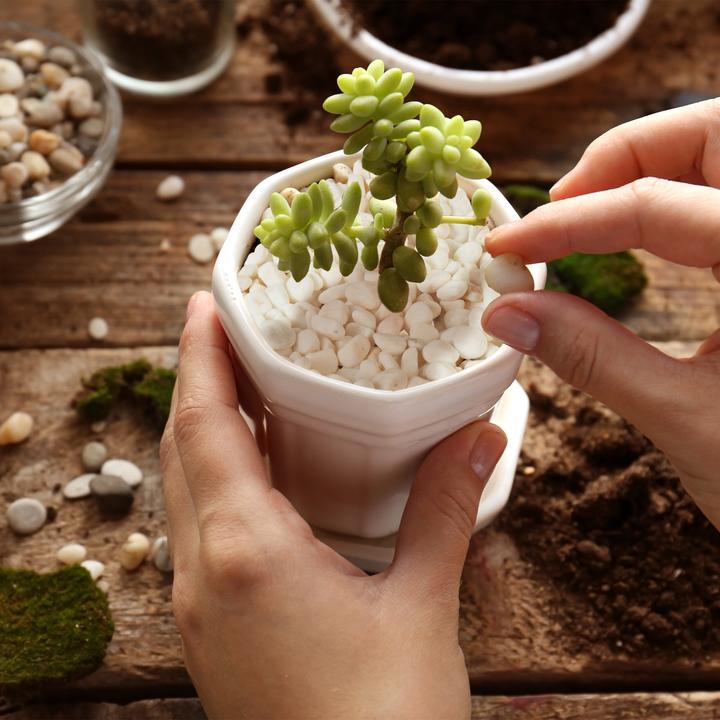 Actual product image Relaxdays Marble gravel