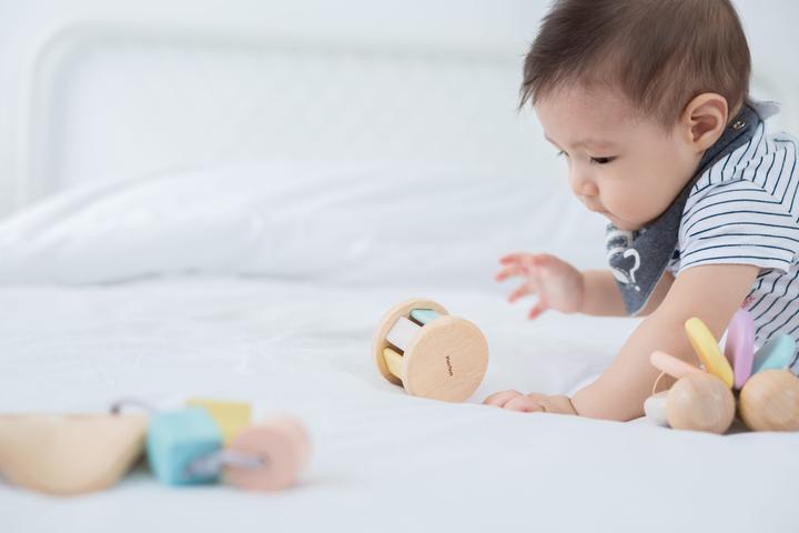 Image du produit Plantoys Hochet roulant