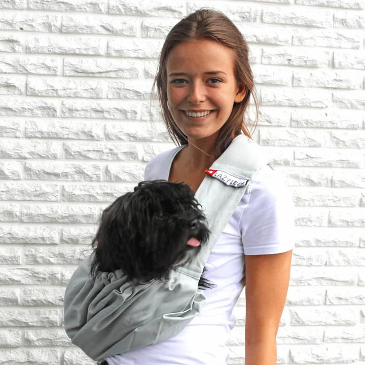 Actual product image 4Lazylegs Animal Transport Bag Canvas, Mineral Grey, XS (Dog, Washable)