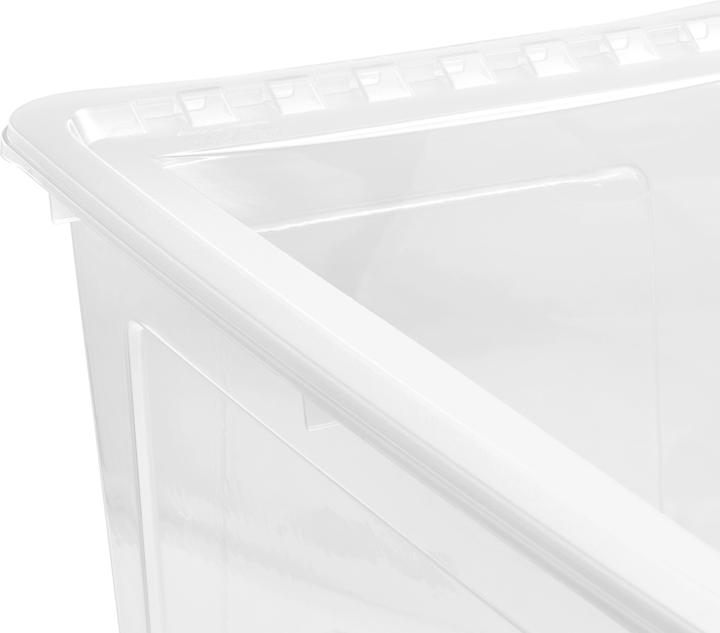 Actual product image HomeZone Multibox 52L incl. lid Bea (52 l)