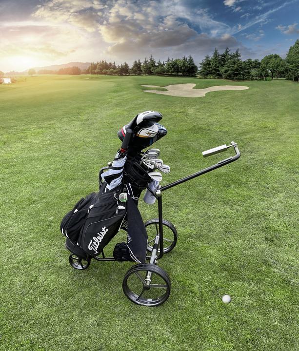 Actual product image Trisa Electric Golf Cart Carbon