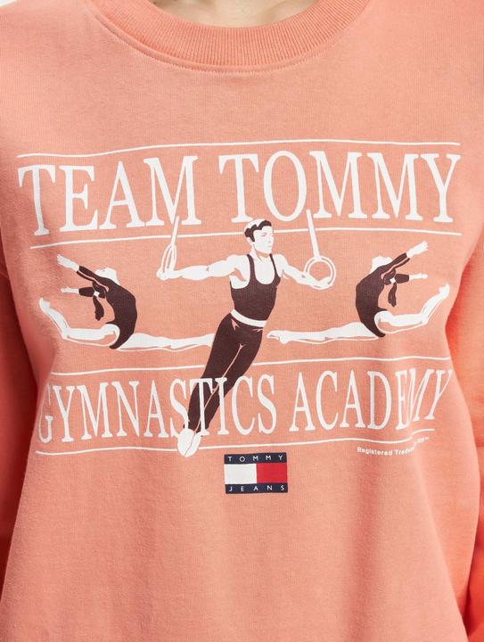 Actual product image Tommy Hilfiger Tommy Jeans Rlxd Gym Sweater - 88837 (L)
