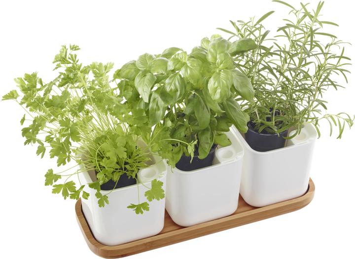 Actual product image Orthex Eden (14 cm)