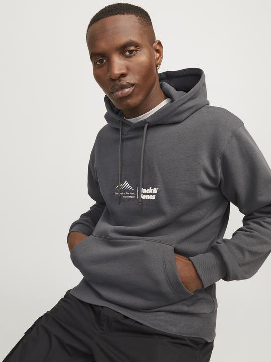 Produktbild Jack & Jones Jcolima Logo Sweat Hood Bfln (S)