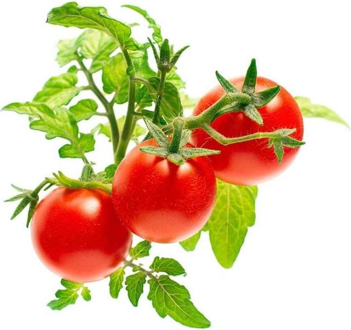 Immagine prodotto Click and Grow Mini Pomodori (Semi di verdura)