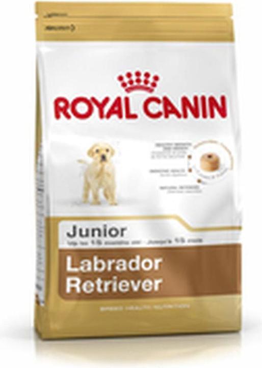 Actual product image Royal Canin Junior Labrador Retriever (Junior, 1 pcs., 12000 g)